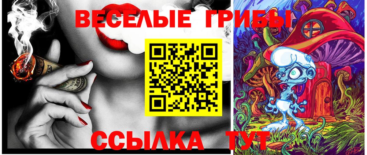Псилоцибиновые грибы ЛСД Елец