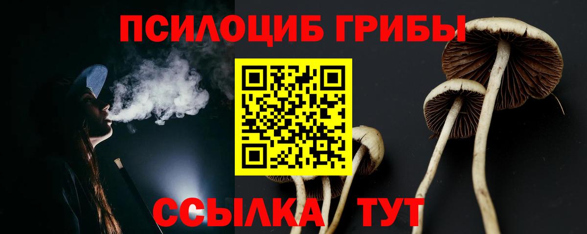 Елец  Псилоцибиновые грибы Psilocybe  Вход с VPN 
